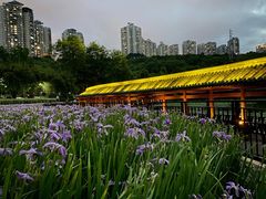 -龙头寺公园