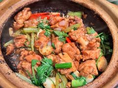 沙姜啫鸡-煲煲好(朝阳门店)