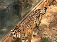 -昆明动物园