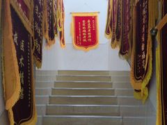 -瑞派雷欧宠物医院·中兽医·眼科·急重症转诊中心(黄台店)