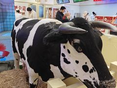 -红星前进面包牛奶公司(君太店)