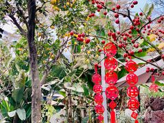 -悦哉·派对·草坪婚礼·围炉煮茶(三圣乡店)