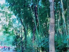 -苏州河梦清园环保主题公园