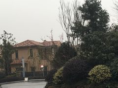 -上海崇明金茂凯悦酒店