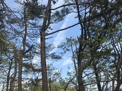 景点-罗田薄刀峰风景区