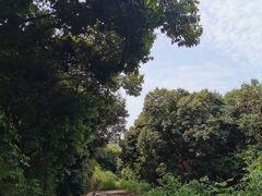 -凤岗南门山森林公园