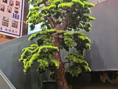 -大碗居·烤鸭·鱼头泡饼(天坛东门店)