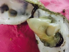 -蠔园山庄(礼乐食街店)