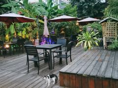 露天位-品德宏·孔雀宴的发源地(金塔园店)
