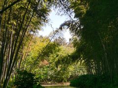-同里国家湿地公园
