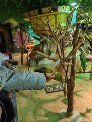 -酷嗒动物文化乐园(cutezoo西溪乐天城店)