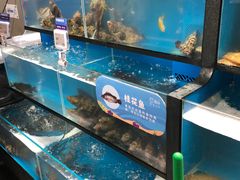 水产区-盒马鲜生(曜一城店)