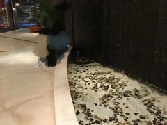 -天津水游城丽筠酒店