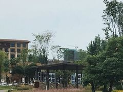 -府河摄影公园