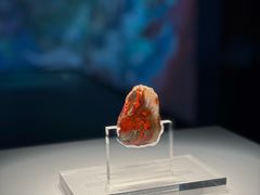 -北京大葆台遗址博物馆