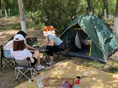 -永定河休闲森林公园