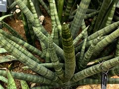 -国家植物园南园