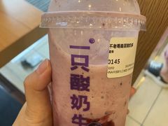 -一只酸奶牛(丹尼斯大卫城店)