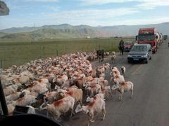 iphone_upload_pic-兰州老马食府(小潞邑店)