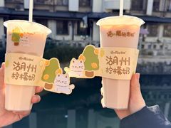 -猫的魔法密林(衣裳街店)