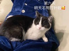 -亚宠动物医院·芭比堂宠物医院(盘龙店)
