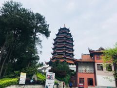 -铁山坪森林公园