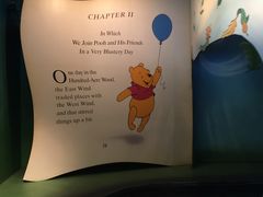 -小熊维尼历险之旅