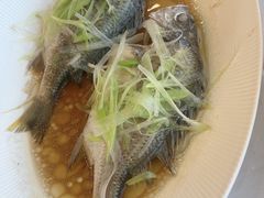-鹿鸣酒家(越秀店)
