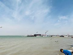 -红碱淖景区