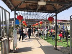 -小鱼草莓采摘园农家乐·小鱼餐厅
