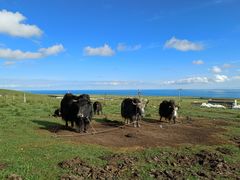 -青海湖国家重点风景名胜区