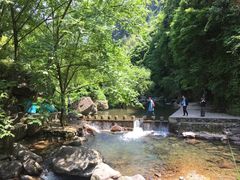 -百杖潭景区