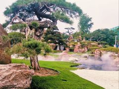 -罗红摄影艺术馆