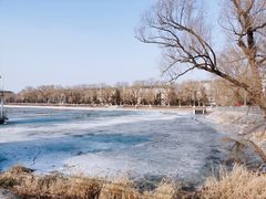 -长春市南湖公园