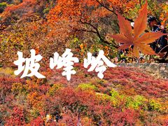 -周口店坡峰岭风景区