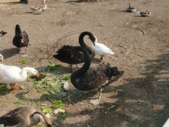 -长春市南湖公园