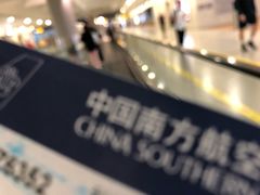 -上海浦东国际机场-T2航站楼
