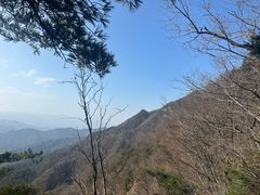 -王顺山国家森林公园