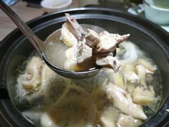 -探窝·竹笙椰子鸡(杨箕店)