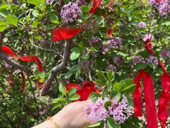 -天津盘山风景名胜区