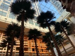 -威斯汀舞台餐厅