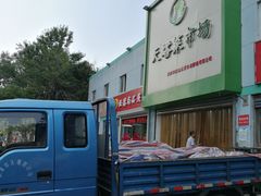 -天塔菜市场