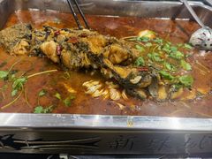 -新珠城鱼坊(龙湖店)