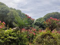 -东湖落雁景区