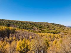 -塞罕坝国家级自然保护区