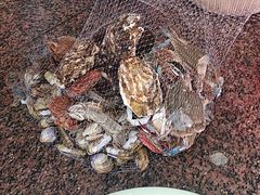 -海之味海鲜大咖·家常菜