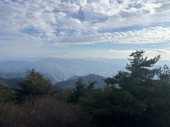 -王顺山国家森林公园