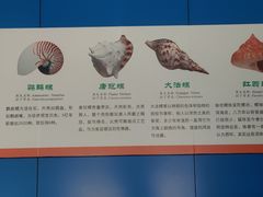 -上海海洋大学鱼文化博物馆(军工路校区)