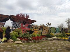 -上海长兴岛郊野公园