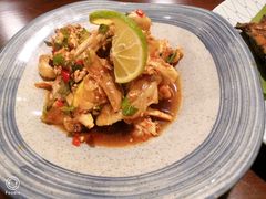 柠檬手撕鸡-紫滇源云南生态菜(丹凤街店)